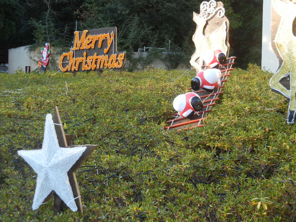 ’14,12,25(木)クリスマスとブルーベリーヒル!_f0060461_1056596.jpg