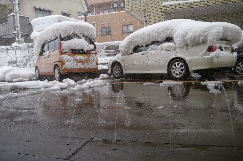 雪が降りました！_e0266363_1627667.jpg