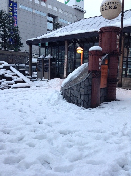 とうとう雪が降り出しました！_e0266363_16384384.jpg