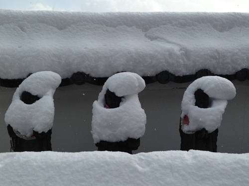 雪の散歩道_e0158970_1953130.jpg