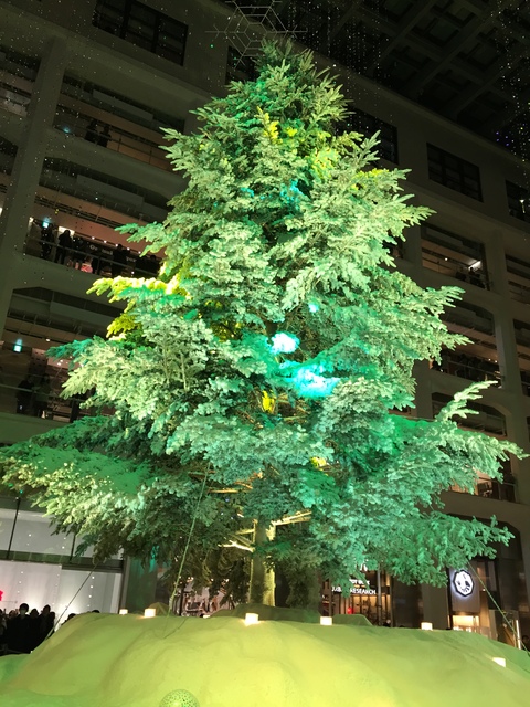 嵐のコンサート&イルミネーション_d0182179_132555.jpg