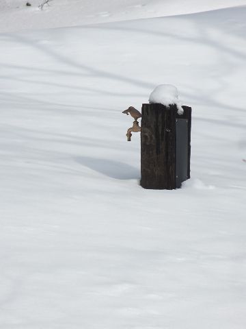 ❄雪の 足跡_d0098183_13531474.jpg