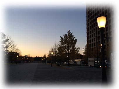 a0145998_17572121.jpg