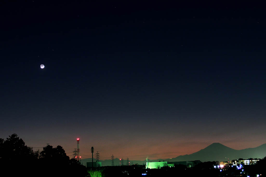 b0024798_79682.jpg