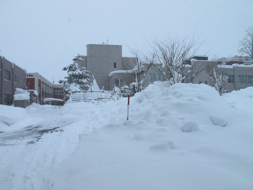 キャンパスの雪景色　１２月２６日午後・・・１_c0075701_1613826.jpg