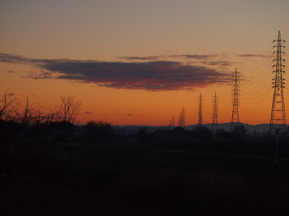 d0048812_1011624.jpg
