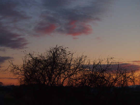 d0048812_1014143.jpg