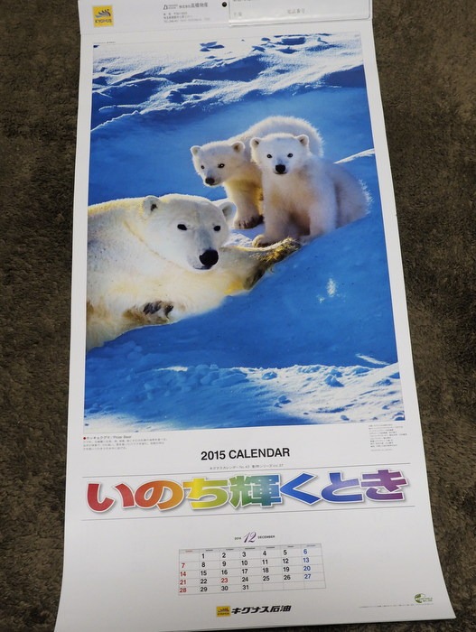 2015年のカレンダー「いのち輝くとき」_c0116915_23463596.jpg