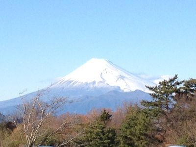 2014年_a0279635_17543154.jpg