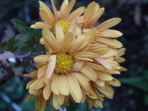 a0054240_21483210.jpg