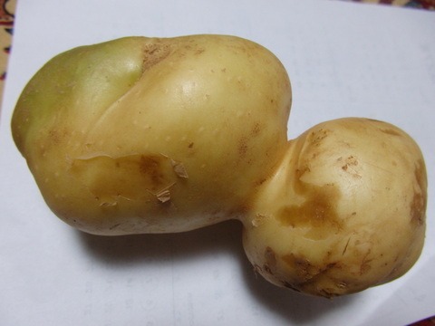 a0054240_22125835.jpg