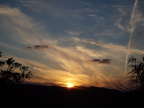 a0054240_22212727.jpg