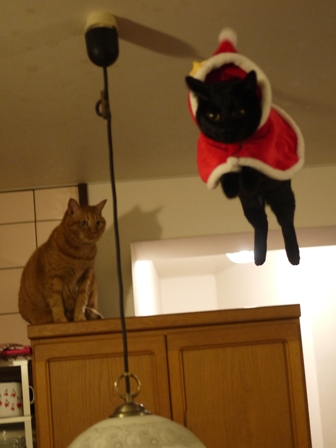 空飛ぶクリスマス猫 しぇるてぃぁら編。_a0143140_115628.jpg