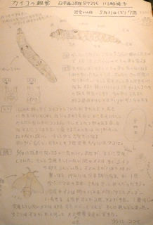 b0325640_21112989.jpg
