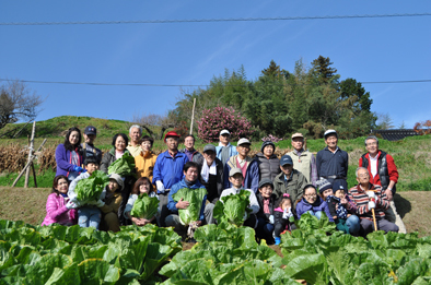 年末のご挨拶と白菜のお話_b0211845_10530464.jpg