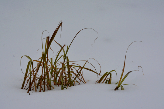 c0093046_8362712.gif