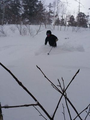 f0310960_179673.jpg