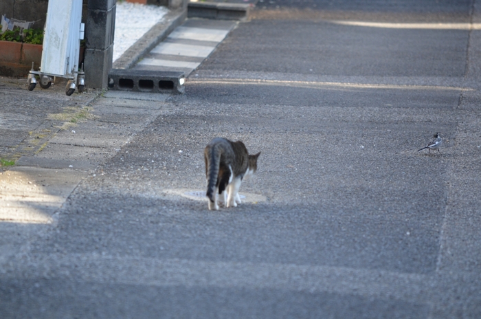 抜き足差し足_a0319263_201846.jpg