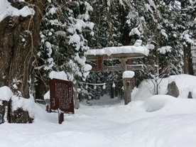 b0218664_1794289.jpg