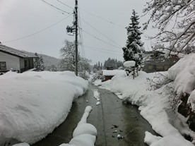 b0218664_1795785.jpg