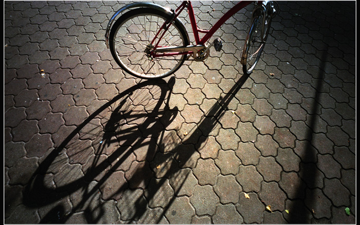 c0168172_1042503.jpg