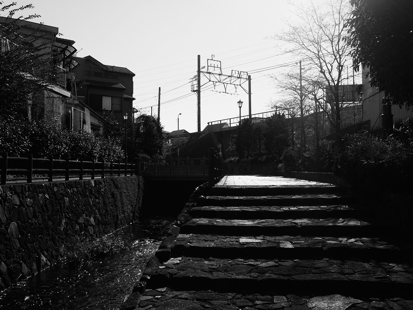 f0121181_225501.jpg
