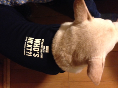 HAKATA MENDOKUSAI OTOKO 2015_f0232994_1238891.jpg