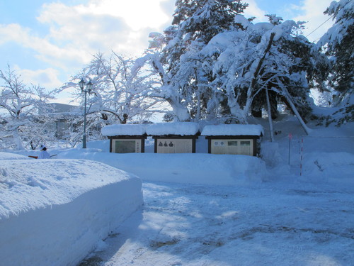 青空を見ながらの散歩は、松が岬公園を経由して米沢キャンパスへ　１２月２７日・・・９_c0075701_19583028.jpg