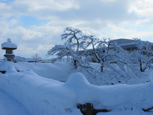 青空を見ながらの散歩は、松が岬公園を経由して米沢キャンパスへ　１２月２７日・・・１2_c0075701_20211722.jpg