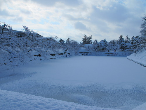 青空を見ながらの散歩は、松が岬公園を経由して米沢キャンパスへ　１２月２７日・・・１2_c0075701_2021512.jpg