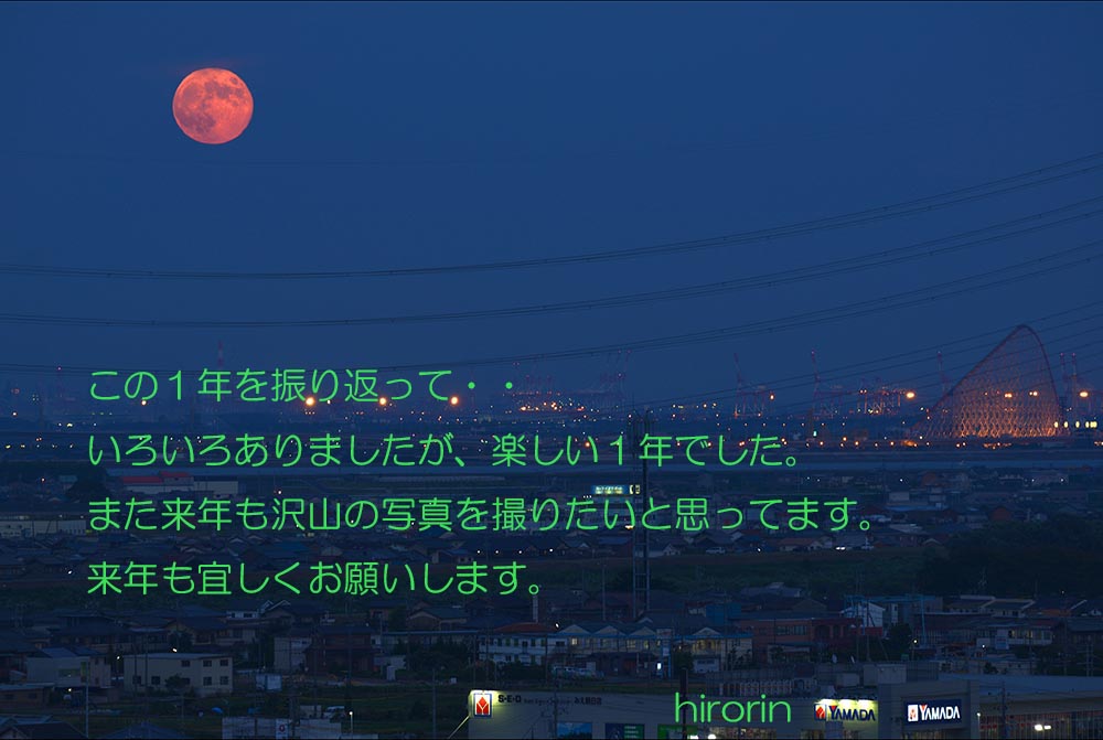 a0044202_75077.jpg