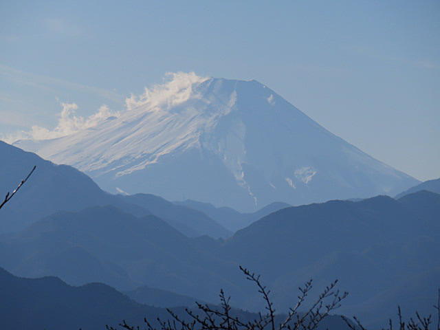d0046702_1231209.jpg