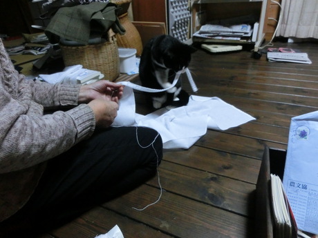 a0203003_1841240.jpg