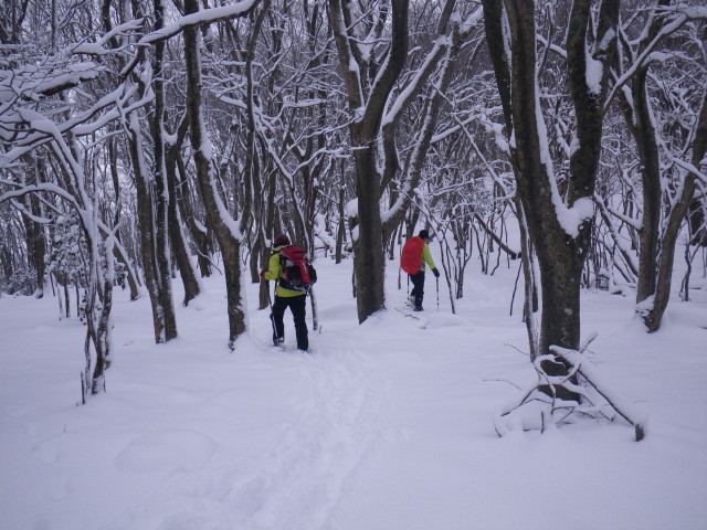 d0006512_15104925.jpg