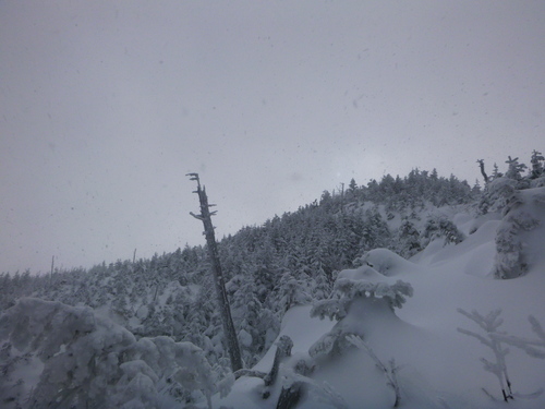 2014.12.22 黒斑山雪山登山!_a0236914_11144655.jpg