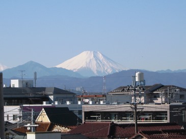 b0255217_15412555.jpg