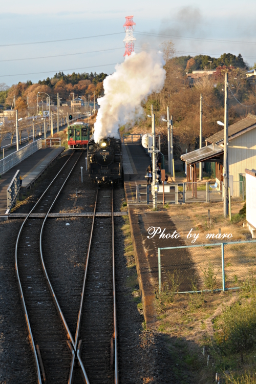 真岡鉄道 SL C11　折本駅での白煙&ドレーン♪♪_e0160417_1123792.jpg