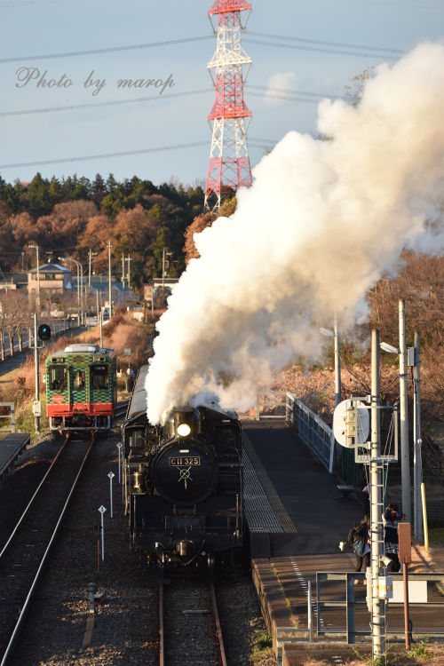 真岡鉄道 SL C11　折本駅での白煙&ドレーン♪♪_e0160417_113757.jpg