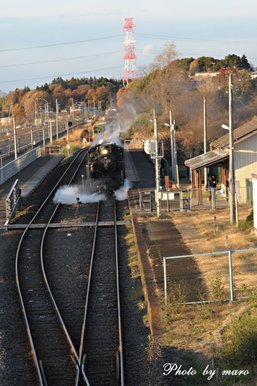 真岡鉄道 SL C11　折本駅での白煙&ドレーン♪♪_e0160417_1154274.jpg