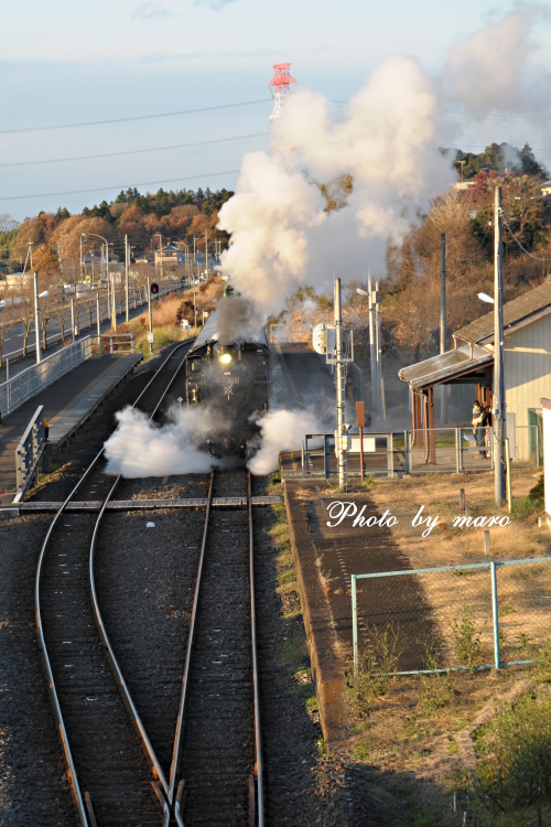 真岡鉄道 SL C11　折本駅での白煙&ドレーン♪♪_e0160417_116353.jpg