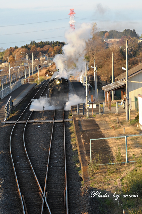 真岡鉄道 SL C11　折本駅での白煙&ドレーン♪♪_e0160417_1164988.jpg