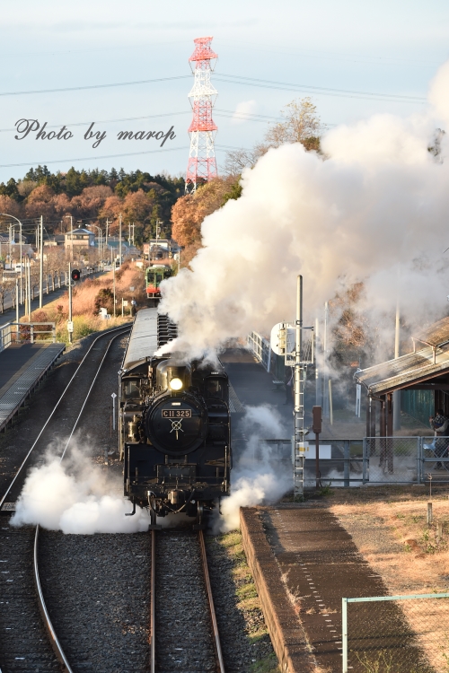 真岡鉄道 SL C11　折本駅での白煙&ドレーン♪♪_e0160417_119091.jpg