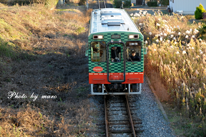 真岡鉄道 SL C11　折本駅での白煙&ドレーン♪♪_e0160417_173045.jpg