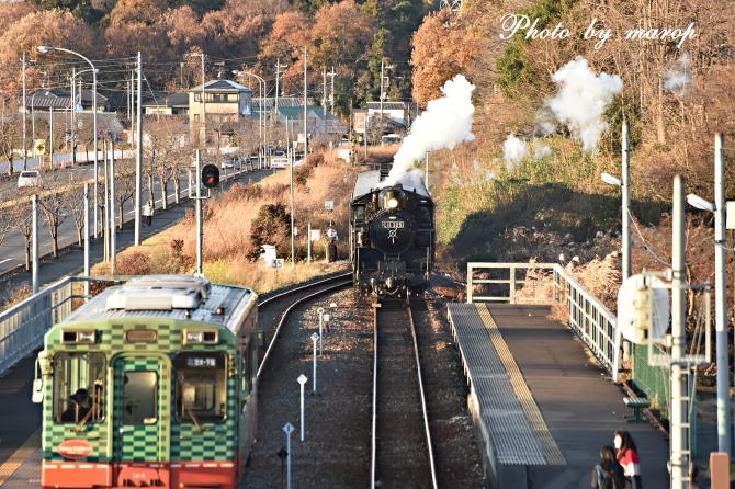 真岡鉄道 SL C11　折本駅での白煙&ドレーン♪♪_e0160417_191760.jpg