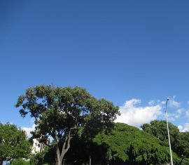a0242019_465360.jpg
