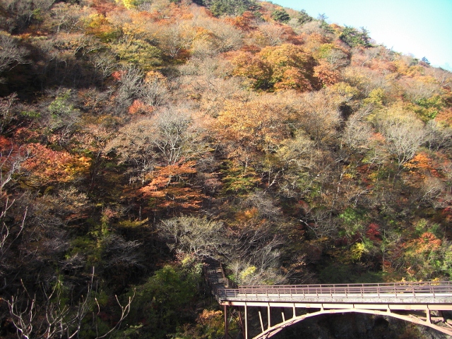 c0074721_1093154.jpg