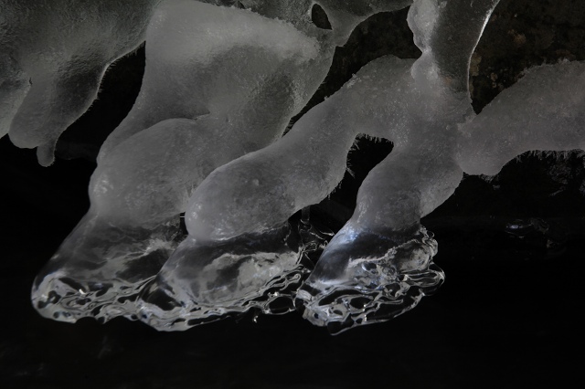 e0242721_805618.jpg