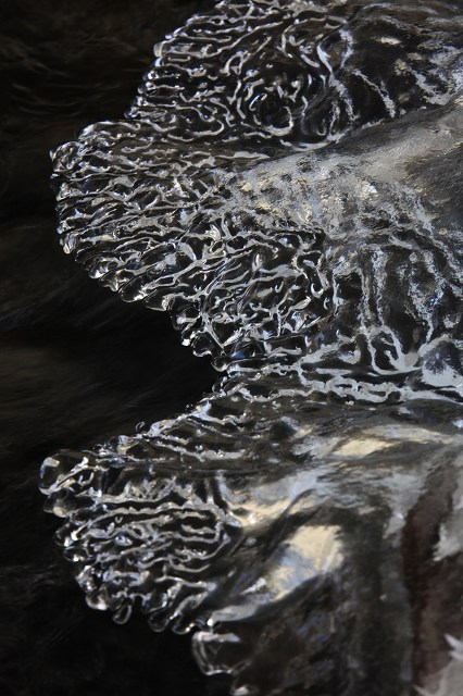 e0242721_811115.jpg