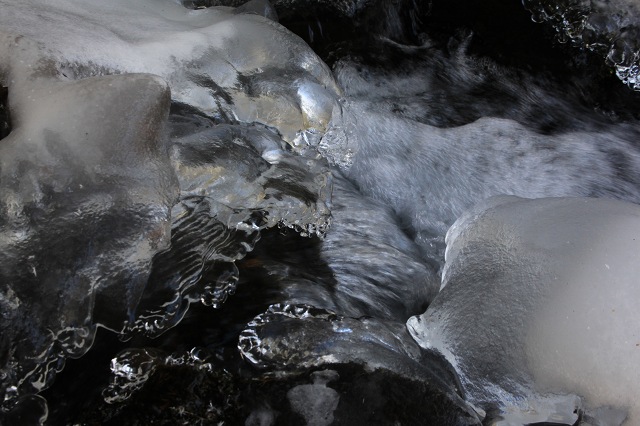 e0242721_813784.jpg