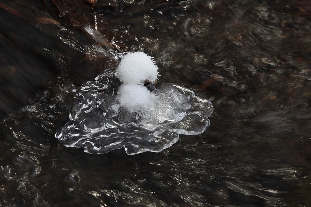 ♪　三城の氷　♪_e0242721_8144759.jpg